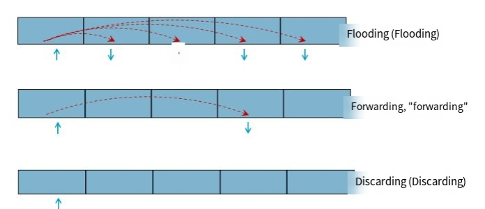 Common Topics: Understanding Switches